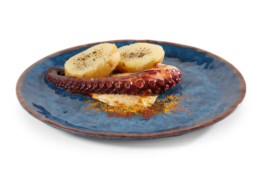 Pujadas Water Melamine Plate - 30cm (6 pieces)