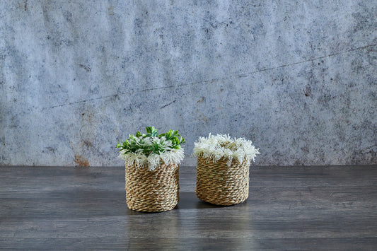 Fringe Basket