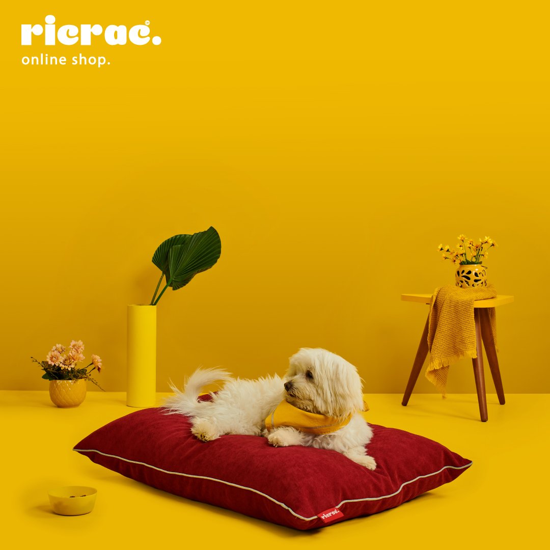 Rony - Medium Pets Cushion