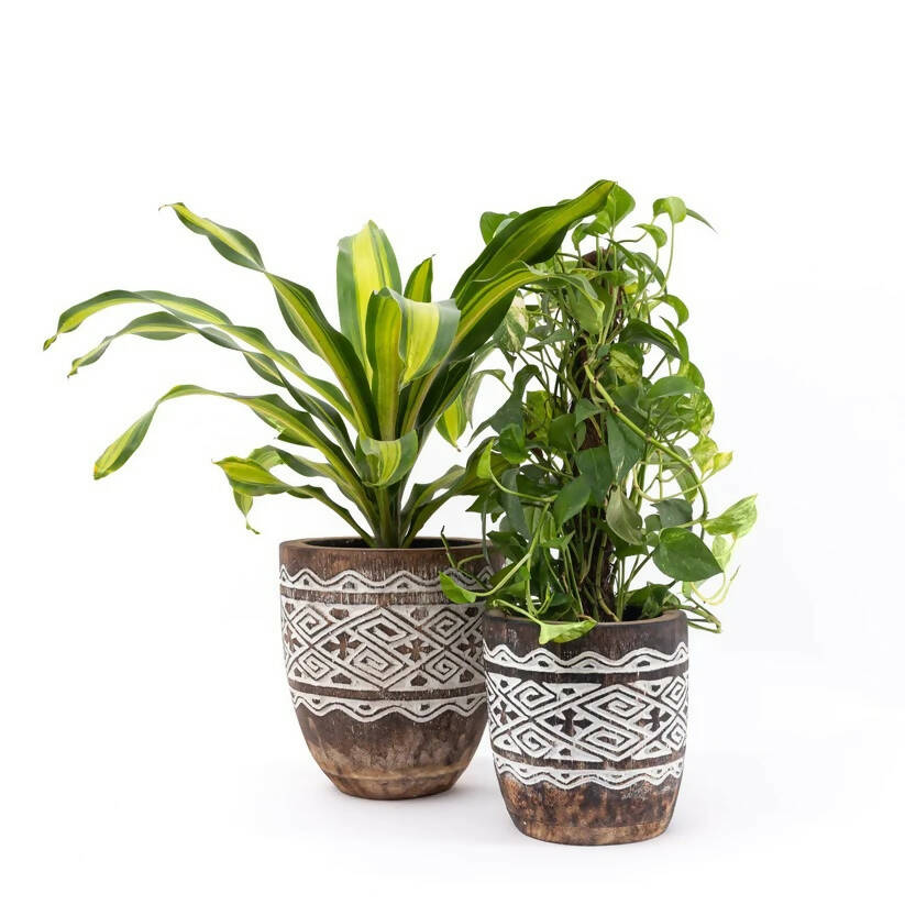 Brown Engraved Wooden Plant Pot