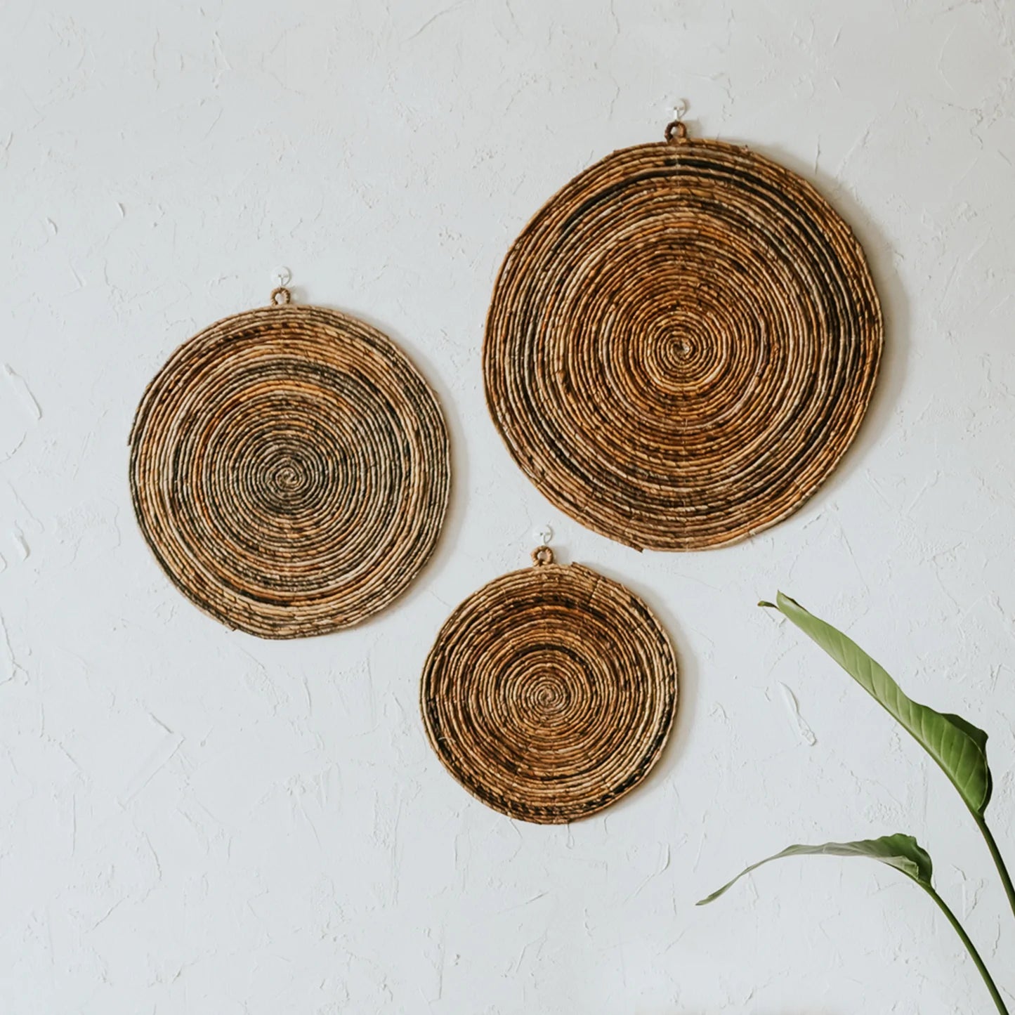 Willow Wall Plates