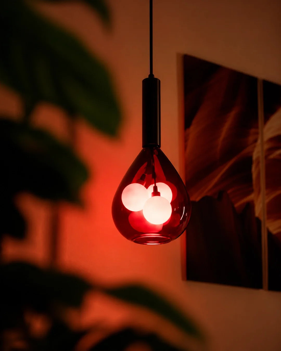 Grapa Pendant — red glass pendant framed by plant leaves | دلاية جرابا، دلاية زجاجية حمراء بين أوراق نبات