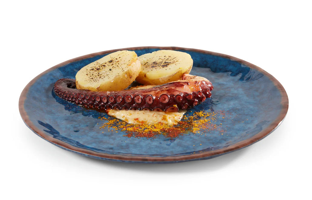 Pujadas Water Melamine Plate - 30cm (6 pieces)