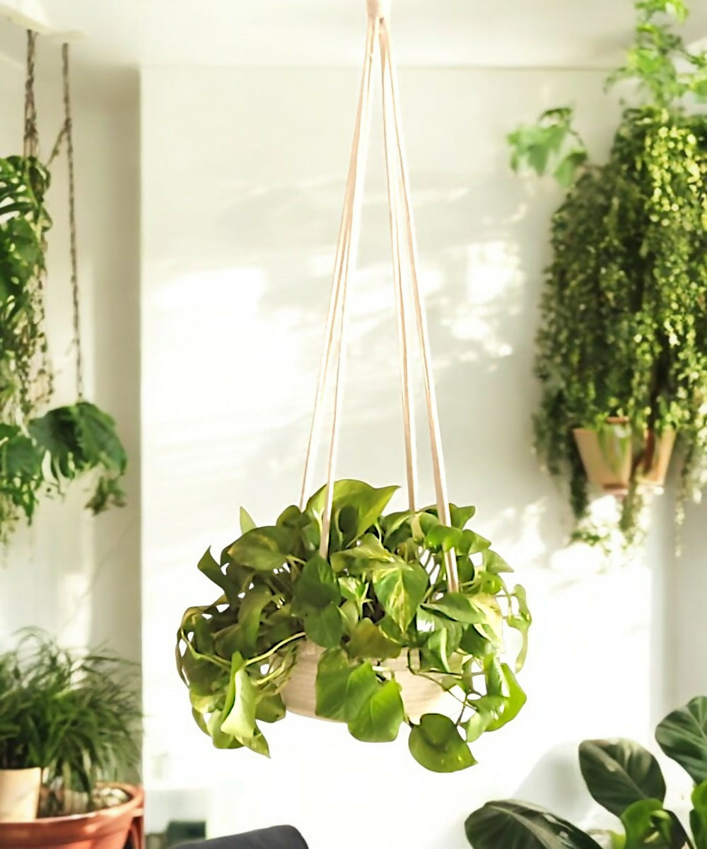 cotton-hanging-plant-pot-set2 (1)