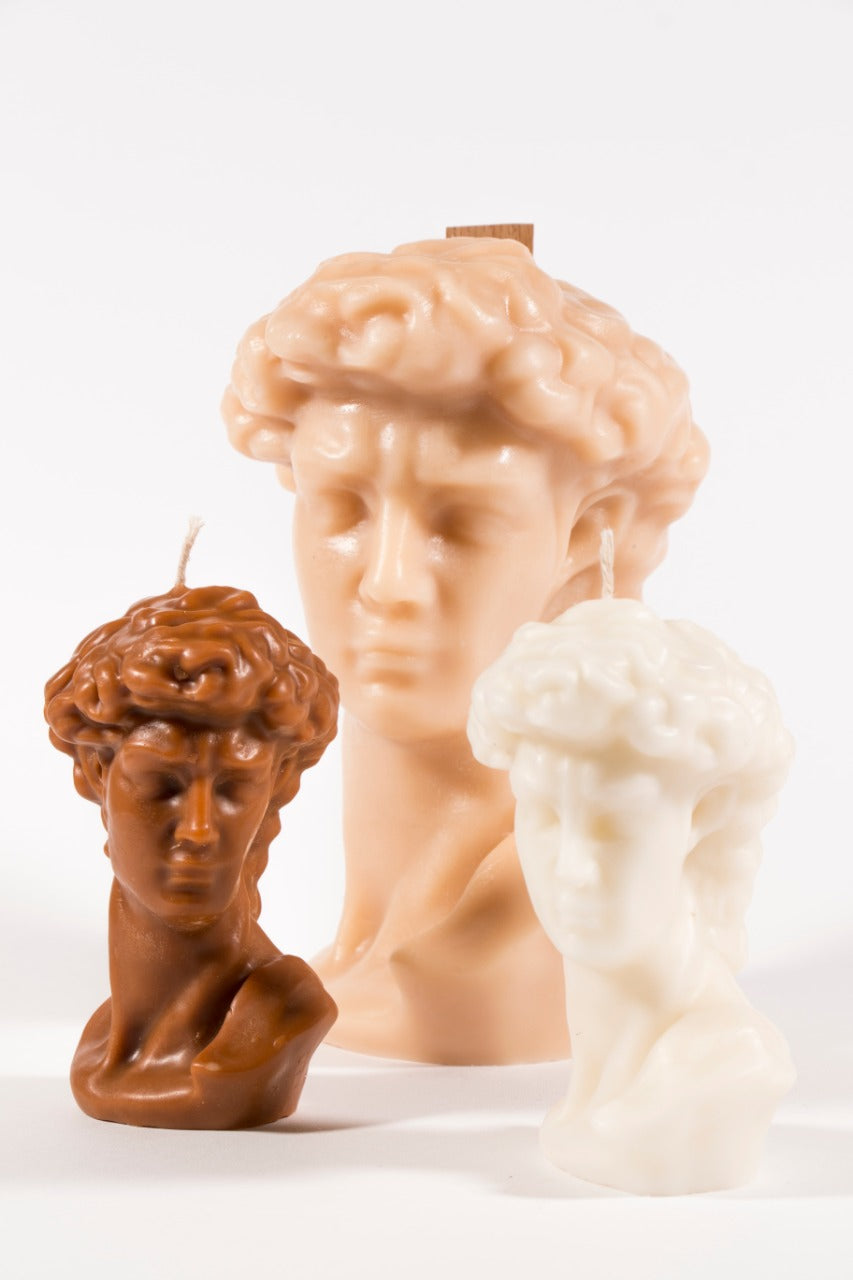 Large David's Head