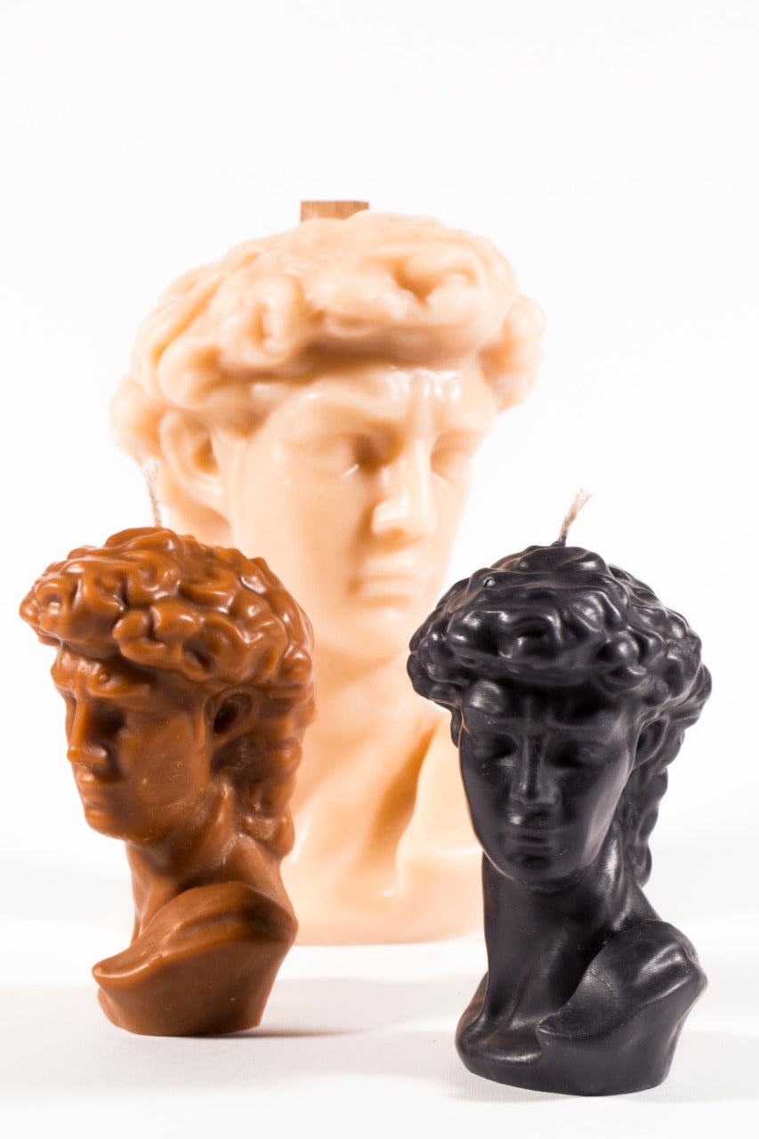 Large David's Head