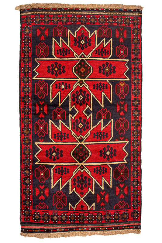 plutchiafghani105x180