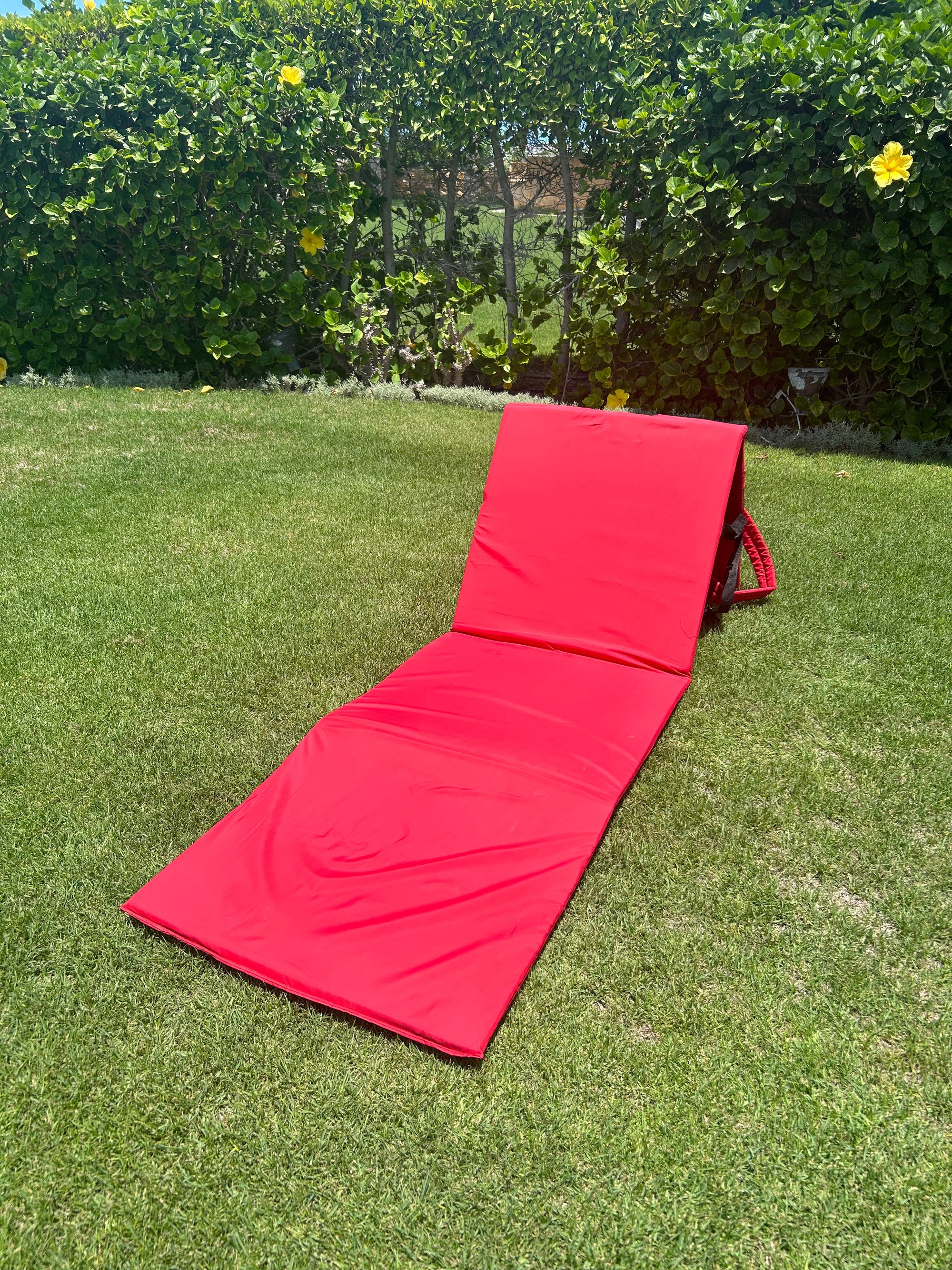 Beach Mat Backpack