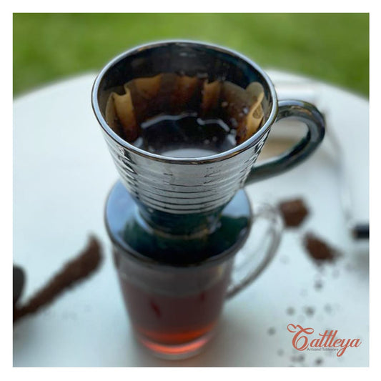 V Coffee Dripper