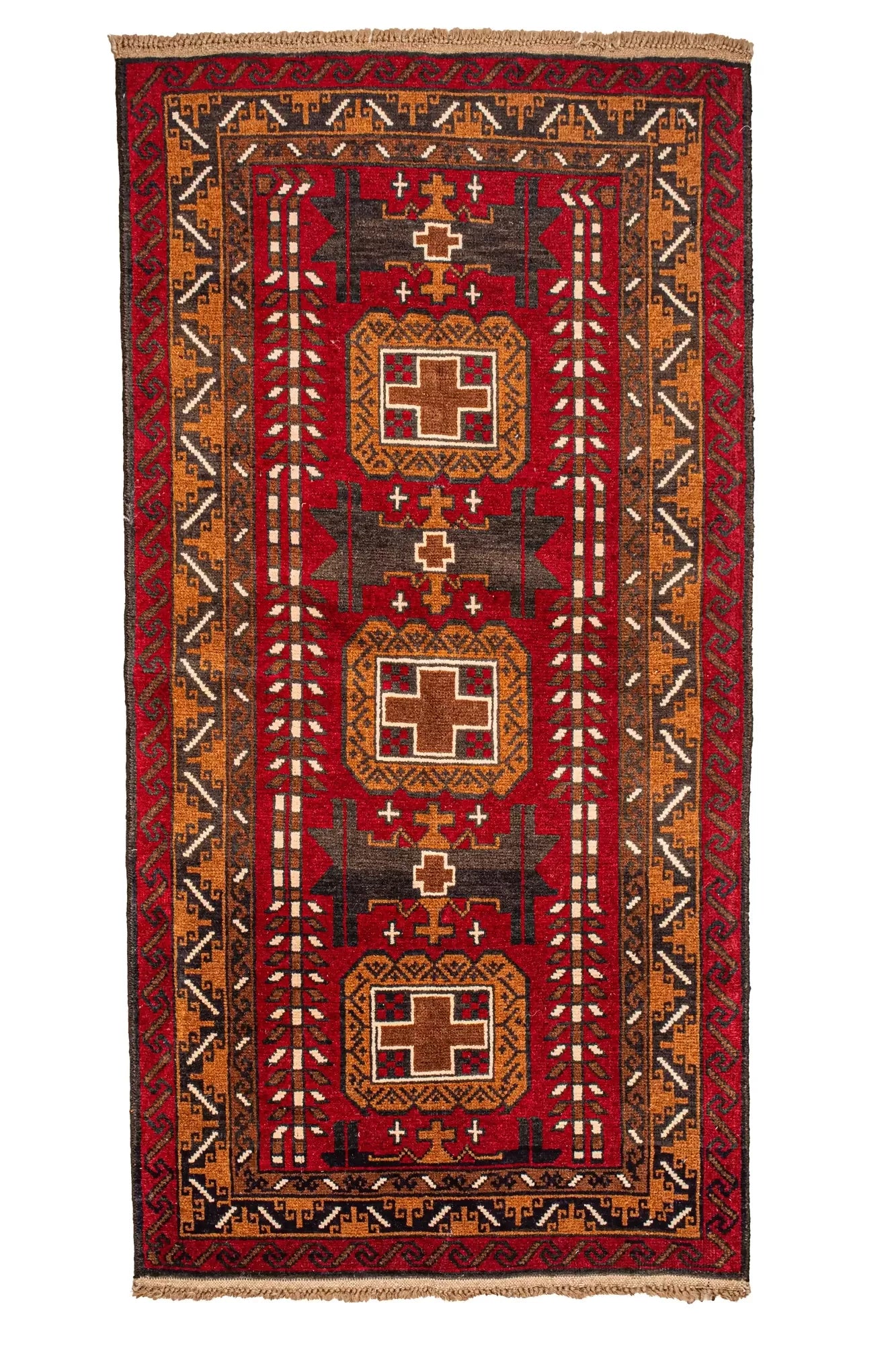 plutchiafghani105x1.86