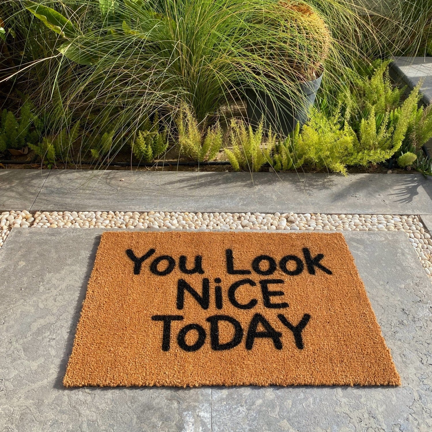 You Look Nice
