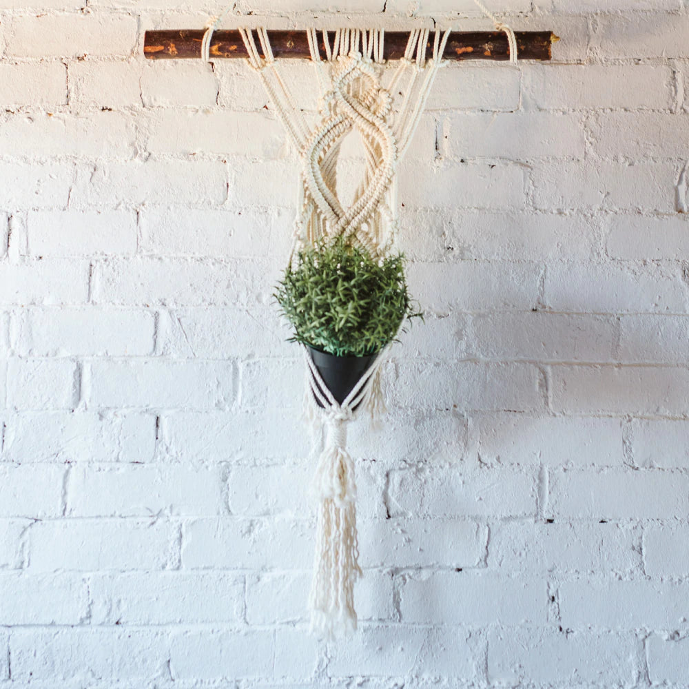 Ivy Wall Hanging Planter