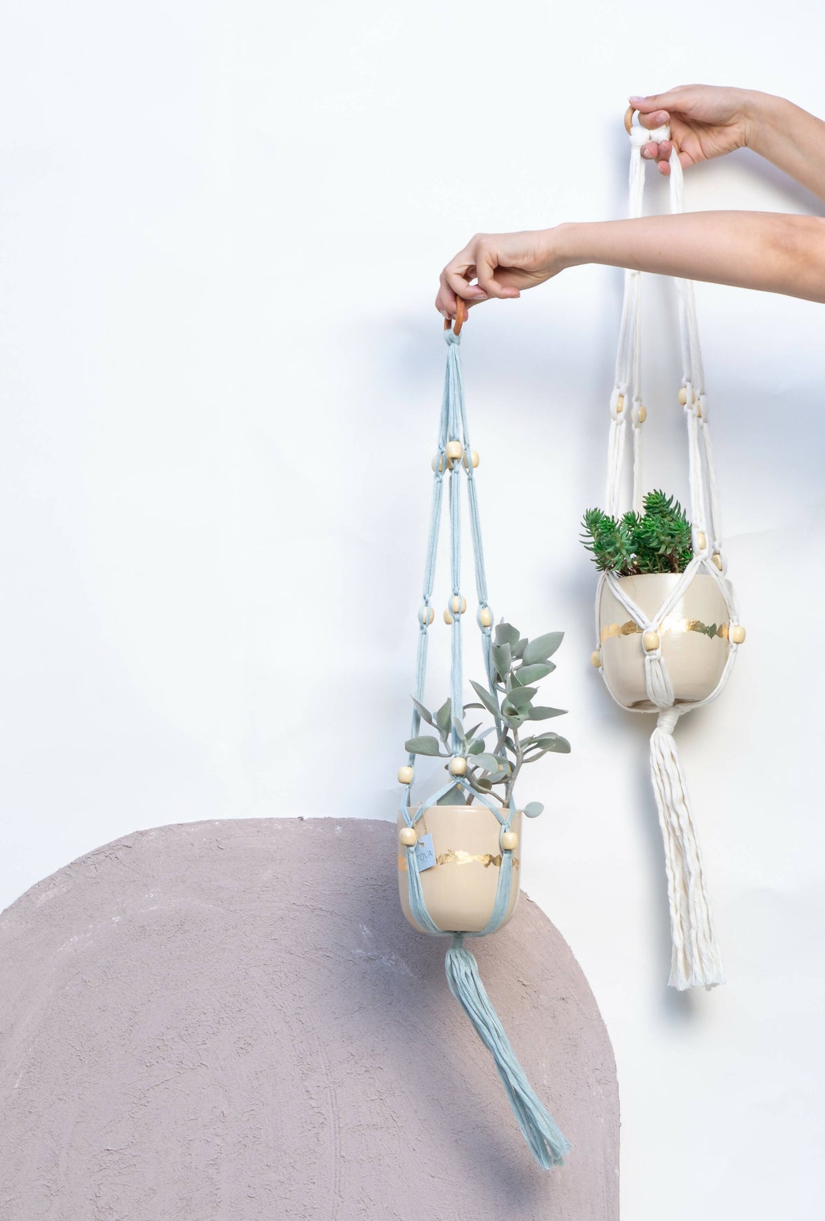 Pila Hanging Planters with a pot