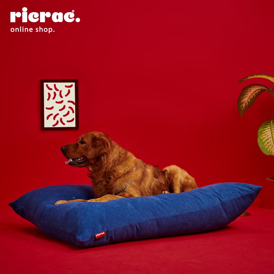 Rito - Large Pets Cushion for Dogs & Cats