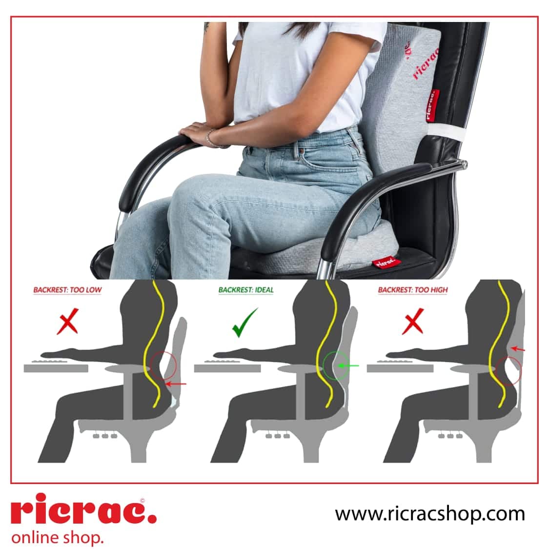 Back Support Pillow - Rolo