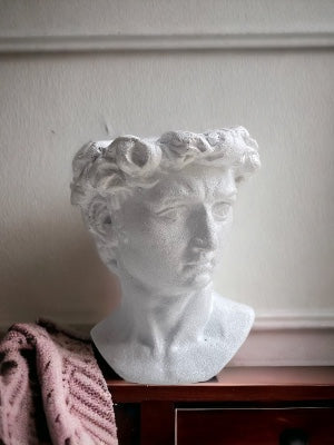 Medium David's Head statue